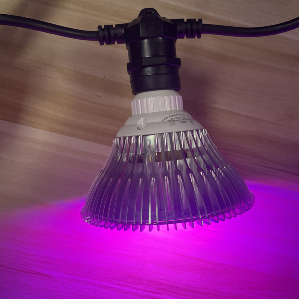 10M Cable LED String Commercia - đánh giá và giá Outdoor Lighting Effects